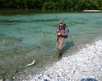 Fly fishing Soča Slovenia