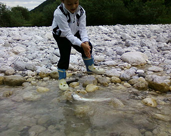 Fly fishing Soča Slovenia