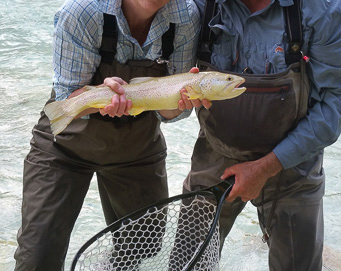 Fly fishing Soča Slovenia