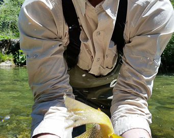 Fly fishing Soča Slovenia