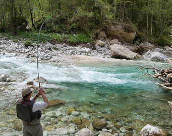 Fly fishing Soča Slovenia