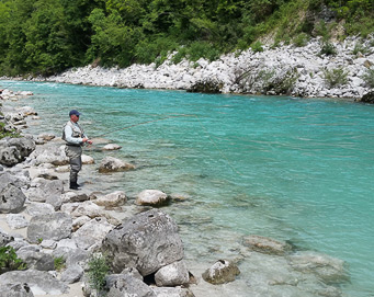 Fly fishing Soča Slovenia