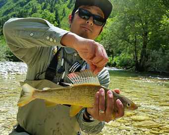 Fly fishing Soča Slovenia