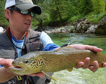 Fly fishing Soča Slovenia