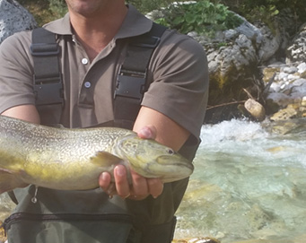 Fly fishing Soča Slovenia